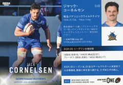 2026年最新】ジョーウェル ニューコバルトの人気アイテム - メルカリ