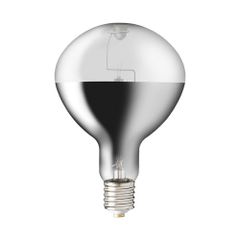 未使用 岩崎電気 BHRF110V750WH セルフバラスト水銀ランプ 生産終了