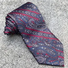 Christian Dior｜Paisley Tie
