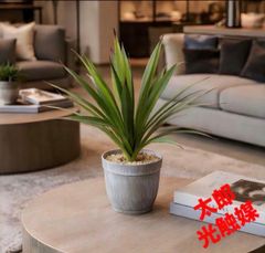 光触媒 人工観葉植物 ウォールグリーン フェイクグリーン アガベ9565@w