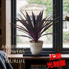 光触媒 人工観葉植物 ウォールグリーン フェイクグリーン アガベ9565@w