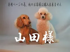 山田様　専用ページ