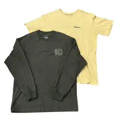 170040 現状品 patagonia　パタゴニア　THE NORTH FACE　ノースフェイス　Tシャツ　ロンT 2点まとめ売り