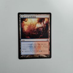 Mtg 血の墓所 中国語 foil - メルカリ