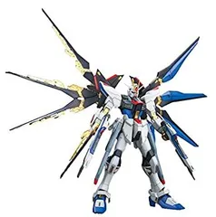 2026年最新】MG 1/100 ZGMF-X20A ストライクフリーダムガンダム (機動