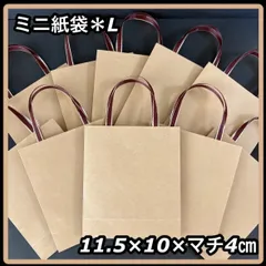 【ハンドメイド】ミニ紙袋 L 大きめ クラフト 無地  シンプル ブラウンリボン 10枚セット