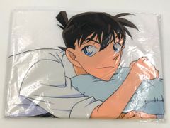 名探偵コナン 灰原哀 複製色紙 100巻記念 江戸川コナン - メルカリ