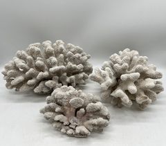 白珊瑚 原木 置物 サンゴ 鳥羽産 珊瑚 美しい 大きい ホワイト
