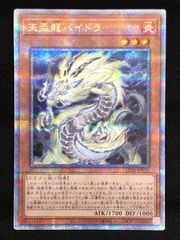 遊戯王 セイヴァーデモンドラゴン 英語 ゴースト ホロ ホロ