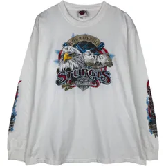 古着 ハーレーダビッドソン Harley-Davidson 鷲柄 イーグル柄 星条旗柄 ファイヤーパターン ロングTシャツ ロンT メンズL相当/eaa627179