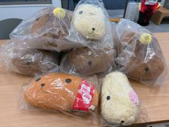 [MK263062636] 카피바라 씨 이치 반 쿠지 인형 세트