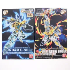 HG 1/144 ガンダム35周年記念RISE!カラーガンプラセット 2015年 Gのコラボレーショントライキャンペーン賞品 ガンダム Gのレコンギスタ×ガンダムビルドファイターズトライ プラモデル バンダイ