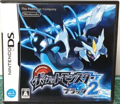 19. 【店舗併売品】ニンテンドーDSソフト ポケットモンスター ブラック2