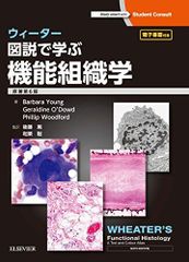美品【送料込】機能を中心とした 図説 組織学 第5版 医学書 医学書院