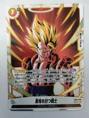 フュージョンワールド FB09-096 悪鬼を討つ戦士 SR - メルカリ