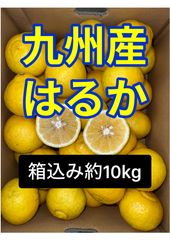 食品 はるかみかん 3L 10キロ×2箱 長崎県産