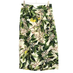 DOLCE&GABBANA ドルチェ＆ガッバーナ フラワーレーヨンスカート F4T32T/FSRC8 グリーン×ホワイト 38のサムネイル
