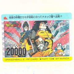 ドラゴンボールZ PPカード 14弾 血がもえるぜ! - メルカリ