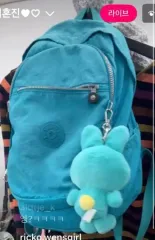 キューヴィンテージ Kipling ミント バックパック 日本人
