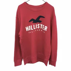 【中古】[印象AB] HOLLISTER ホリスター カットソー / プルオーバー メンズ S レッド 赤×紺×白 綿×ポリ 裏毛 ロゴ刺繍 鳥のパッチ カモメ 長袖 丸首のサムネイル