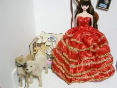 ミミ/ジュジュ/ジェニ/ヨガボディ/バービー パールレッド - GOLD レースドレス