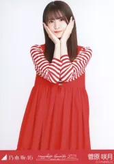 【中古】生写真(坂道シリーズ) 菅原咲月/上半身/nogizaka46 Summer Tour 2023/「真夏の全国ツアー2023」OSAKAver. 会場限定ランダム生写真 赤x白コーデ