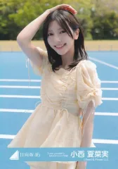 【中古】生写真(坂道シリーズ) 日向坂46/小西夏菜実/上半身/日向坂46ランダム生写真【「Love yourself!」MVスタイリング衣装】