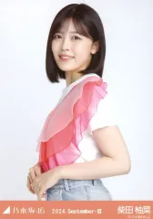 【中古】生写真(乃木坂46) 柴田柚菜/上半身・フリルTシャツ/「乃木坂46 2024.September-III」会場限定ランダム生写真