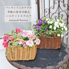 季節の花 寄せ植え おまかせ バスケット スクエア natural/brown おしゃれ プレゼント ギフト