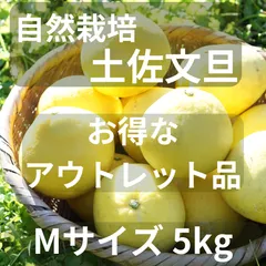 自然栽培 農薬肥料不使用  土佐文旦 Mサイズ お得な5キロセット 送料無料