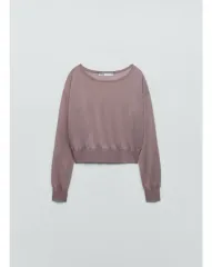 タグあり新品 ZARA ザラ セミシースルー トップス_S