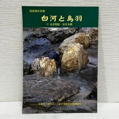 カミによる水のまつり 導水の埴輪と王の治水 奈良県立橿原考古学研究所 