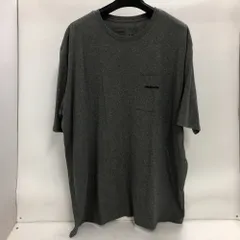02w24106 patagonia パタゴニア  ポケット付きTシャツ  グレー XL  メキシコ製 メンズ  半袖Ｔシャツ  コットン  【中古品】
