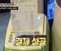 5 ／ 15 ティンカーベル