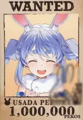 【中古】キャラカード 兎田ぺこら 直筆サイン入りチェキ風ブロマイドカード 「バーチャルYouTuber ホロライブ 兎田ぺこら 誕生日記念2025 誕生日記念フルセット 数量限定ver.」 購入特典