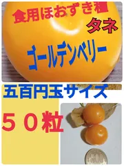 食用ほおずき種　ゴールデンベリー　５０粒のサムネイル