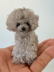 手のひらに乗る小さなトイプードル、モールアート