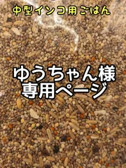 ゆうちゃん様専用ページ