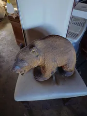 木彫熊　置物　義夫作