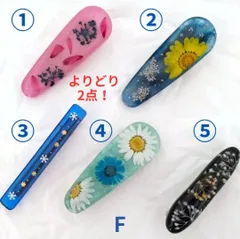 よりどり2点！F ヘアクリップ バレッタ ドライフラワー