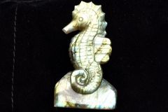 アバロンシェル 魚のオブジェ メキシコ産 | Mercari