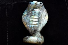 アバロンシェル 魚のオブジェ メキシコ産 - メルカリ