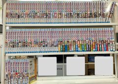 図録】 色絵祥瑞・南京赤絵・康煕五彩 明末・清初の五彩磁器 (1993年