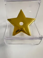 Christian Dior ディオール ゴールド スター チャーム ロゴ入り