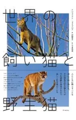 世界の飼い猫と野生猫／PhotopoulosJulianna