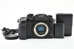 Panasonic LUMIX GH4本体 SmallRigケージ付 おまけ多数 - メルカリ