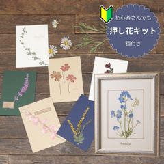 山口一郎 原画 DMセット 花 ひまわり アート - メルカリ