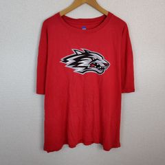 希少レア チャンピオン ヴィンテージ Tシャツ 3L カレッジロゴ 