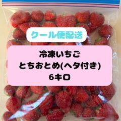 冷凍いちご とちおとめ 6kg ヘタ付き 無洗 - メルカリ