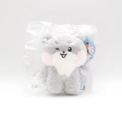 ZEROBASEONE ゴヌク ゴニニ  メッセージぬいぐるみキーリング マスコット 未開封 LINE FRIENDS  POP UP ポップアップ gunini Park Gun Wook  zeron ZB1 ゼベワン